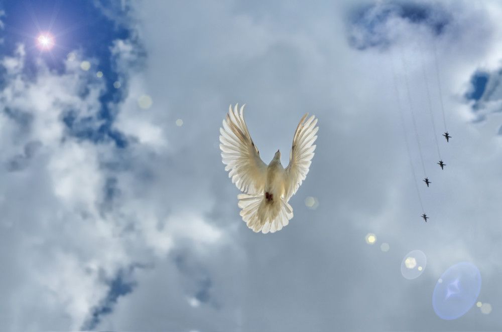 штурмовики Су-24 и Дао жизни