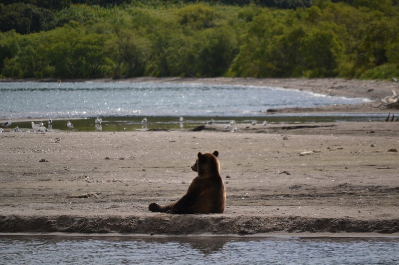 Коневская Анна, Russia