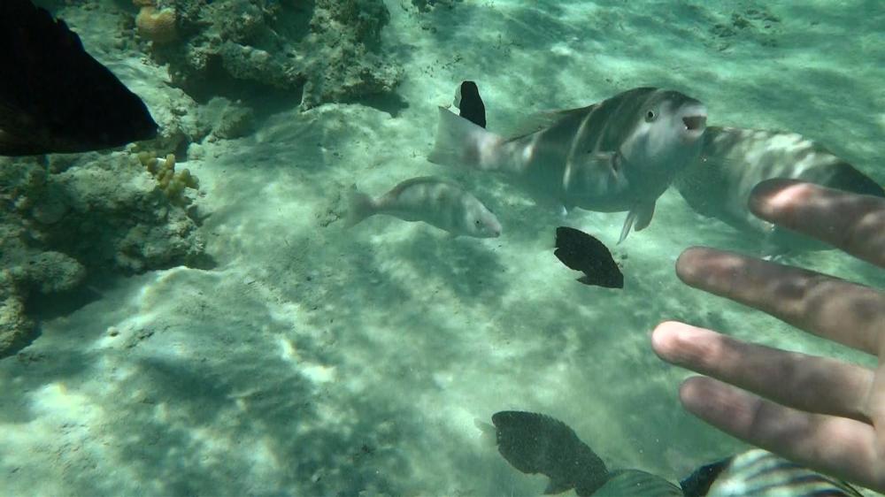 Photograph by Александр