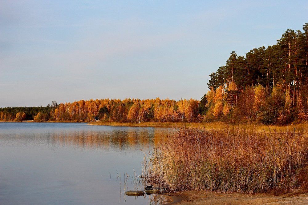 Photograph by Алексей Коновалов