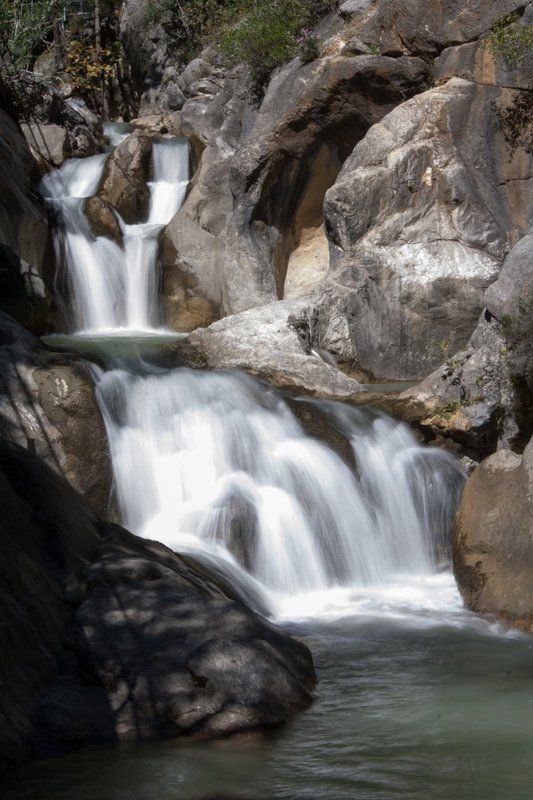 мотырев, Russia