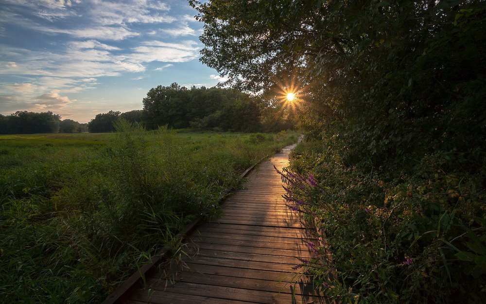 Дорожка к солнцу...