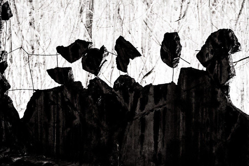 Photograph by Рустам Фасхутдинов