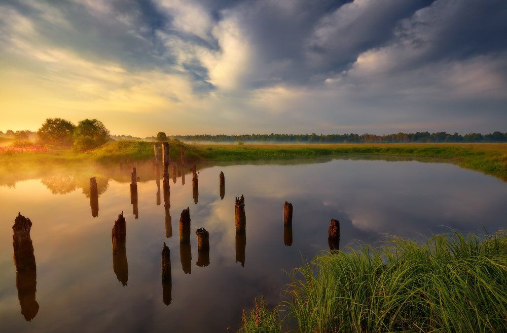 Photograph by (Roman) Heger