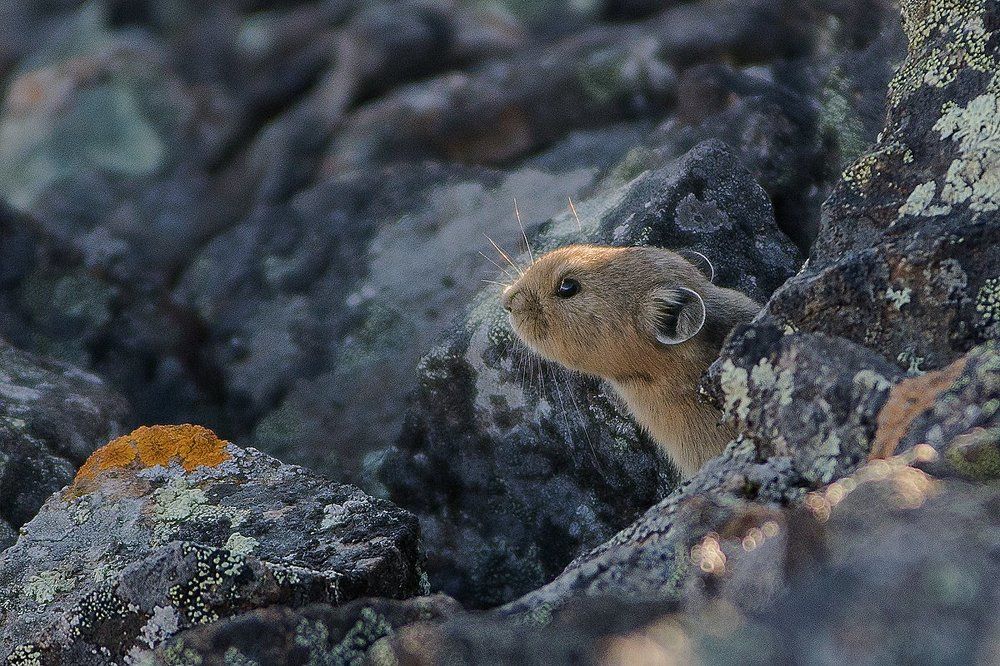 Ты ещё здесь...