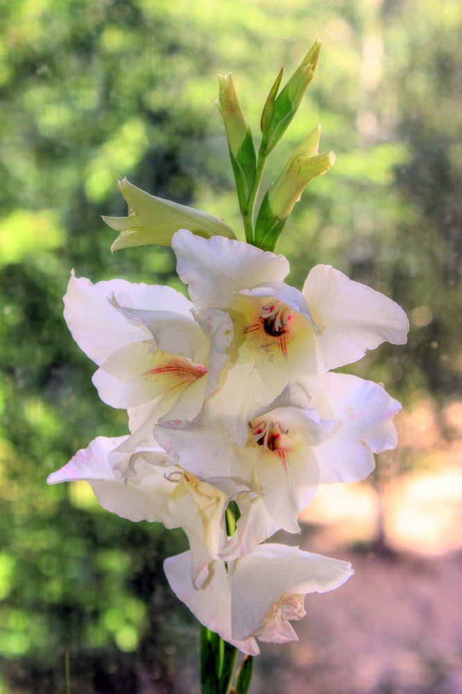 Photograph by Уляна штуник