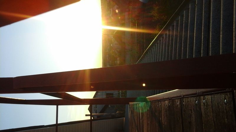 Анастасия Забелина, Belarus