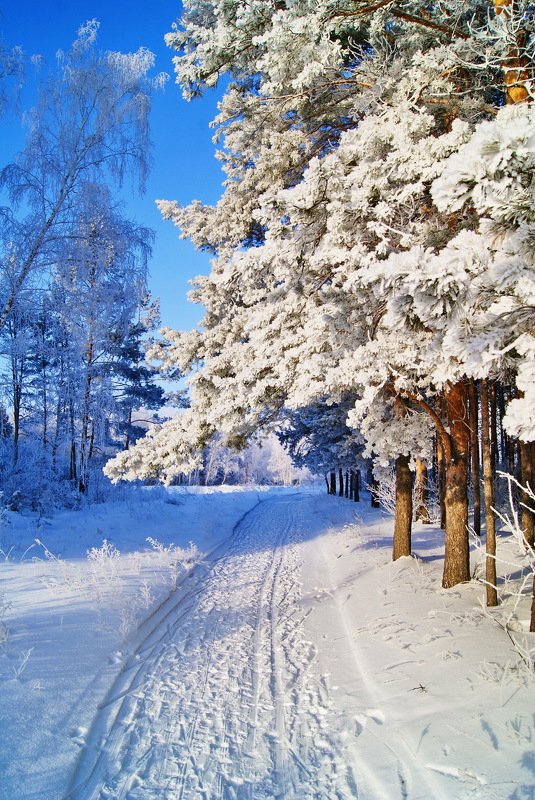 Александр, Russia