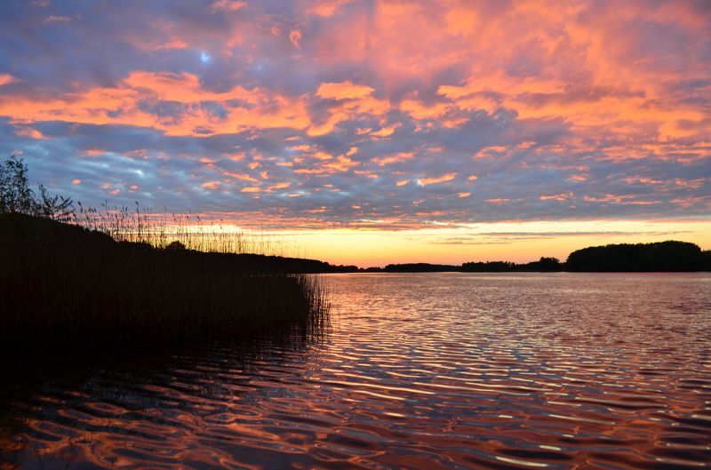Анна Титко, Ukraine