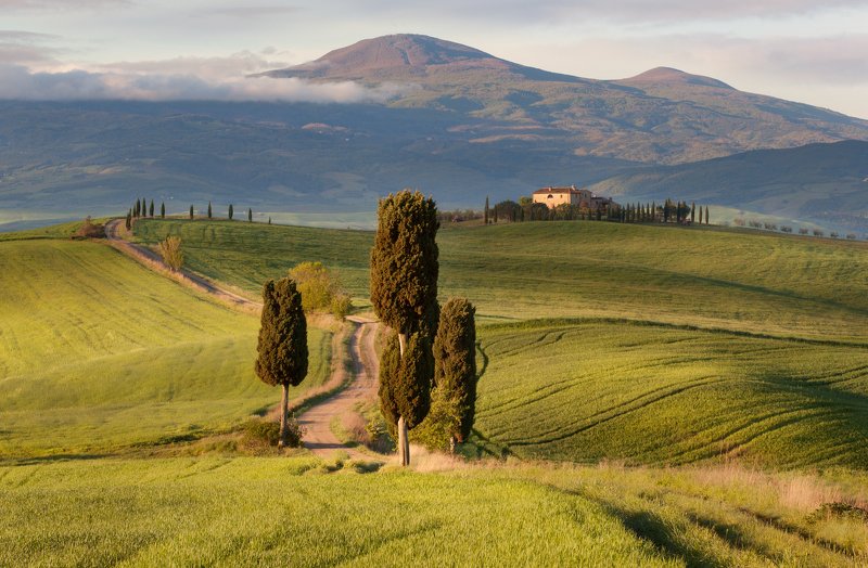 Scheglova Olga, Russia