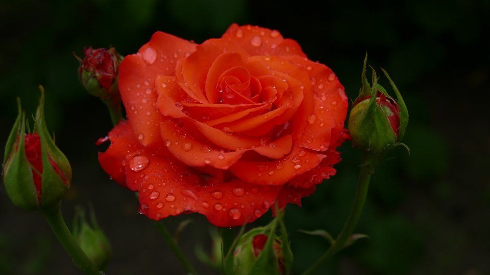 После дождя