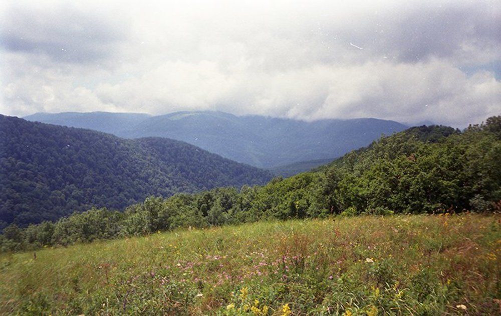 Photograph by Мария