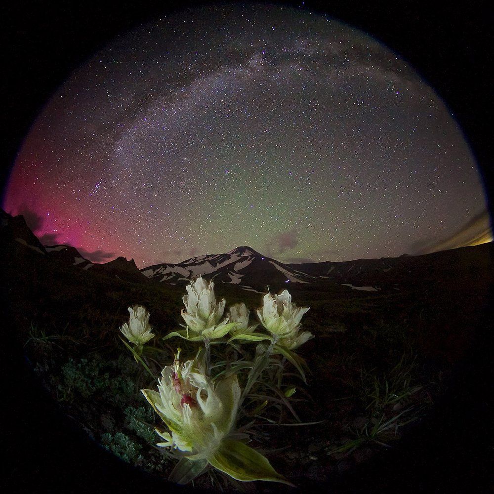 Самоцветная ночь