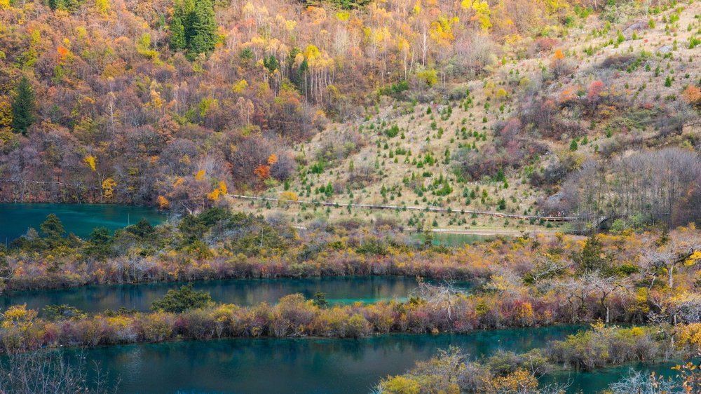 Photograph by Songdi Fan