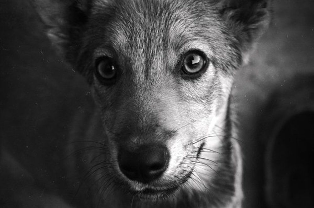 Взгляд снизу