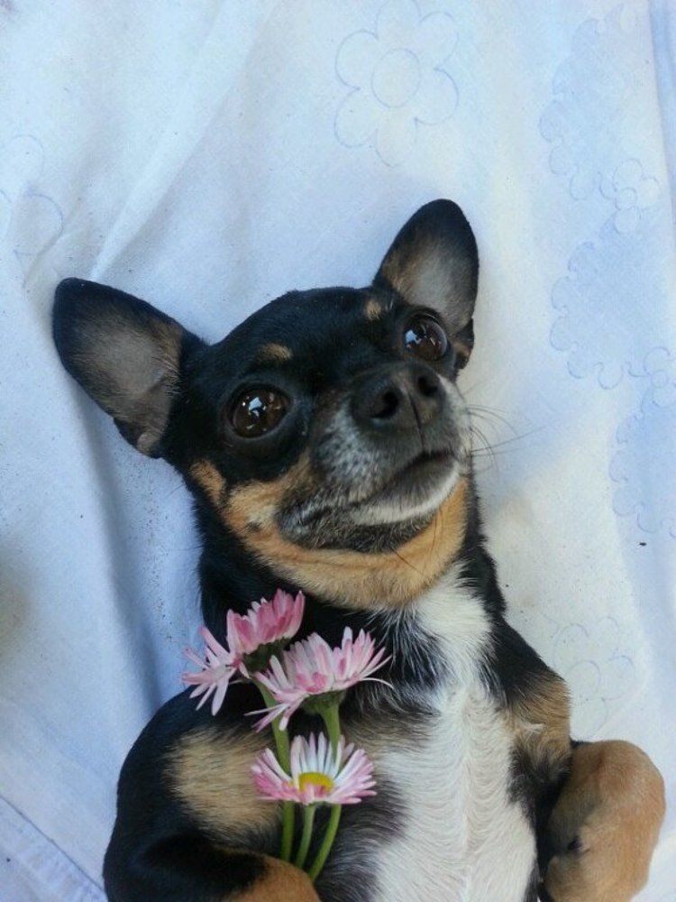 Ульяночка Цветок !!!