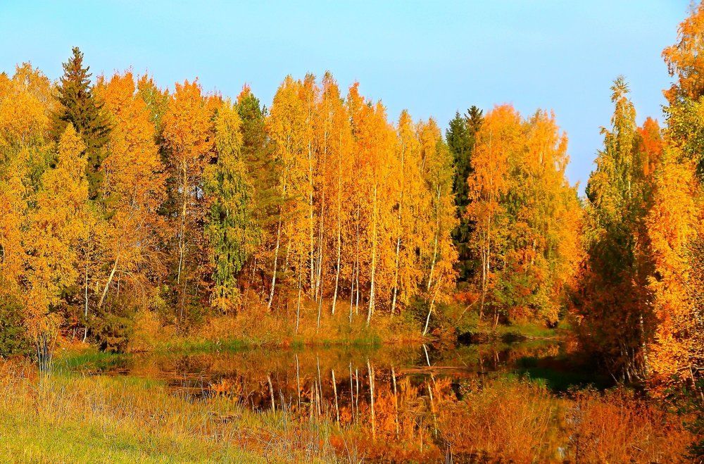 Photograph by Виктор.