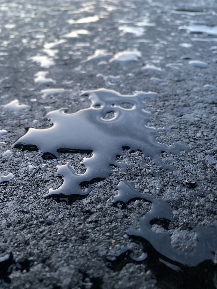 Фотография автора Ирина Шпаковская