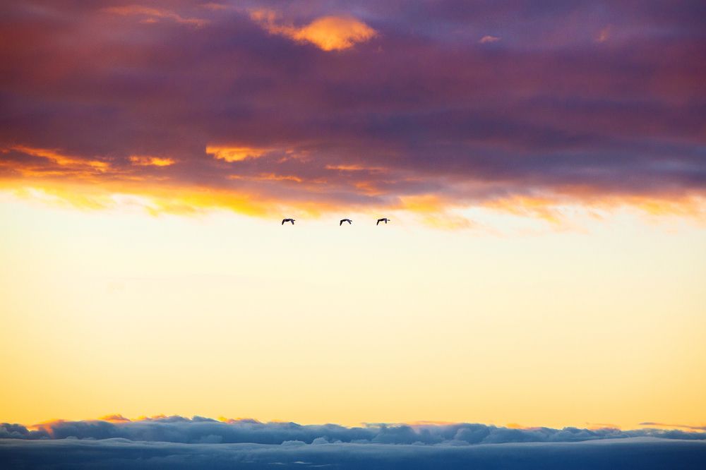 Photograph by Александр Кузнецов