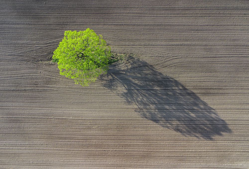 Photograph by Leanid Kulpo