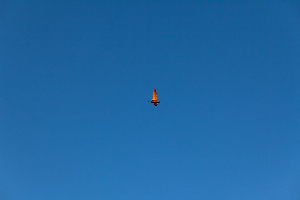 Photograph by Александр Кузнецов