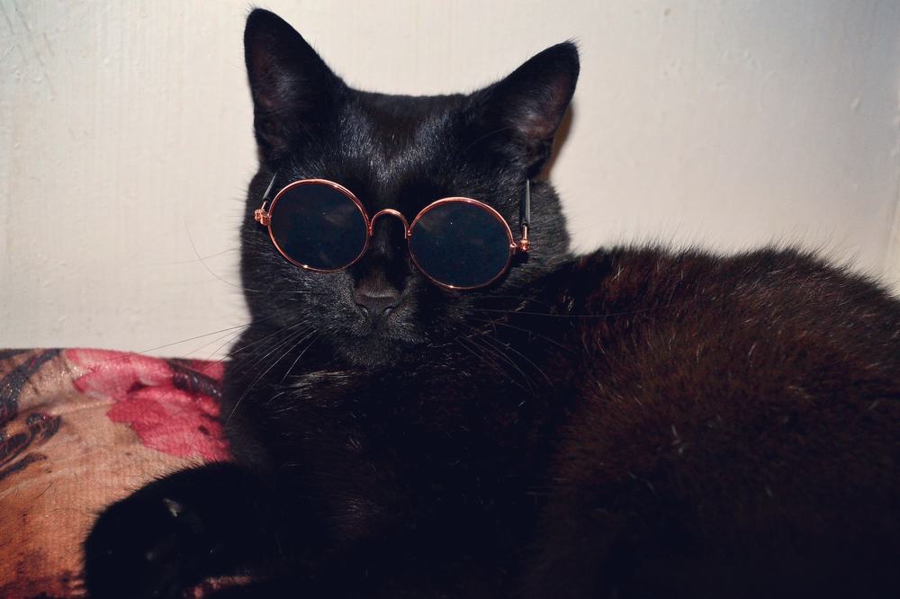 Photograph by Екатерина Шустова