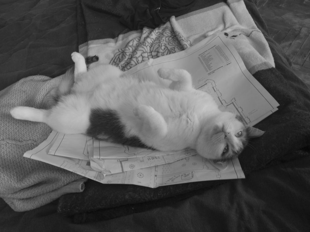 Photograph by Елена Можар