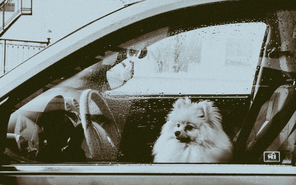 Photograph by Софья Романова