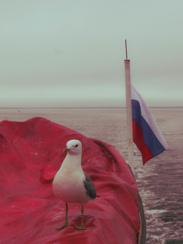 Photograph by Софья Романова