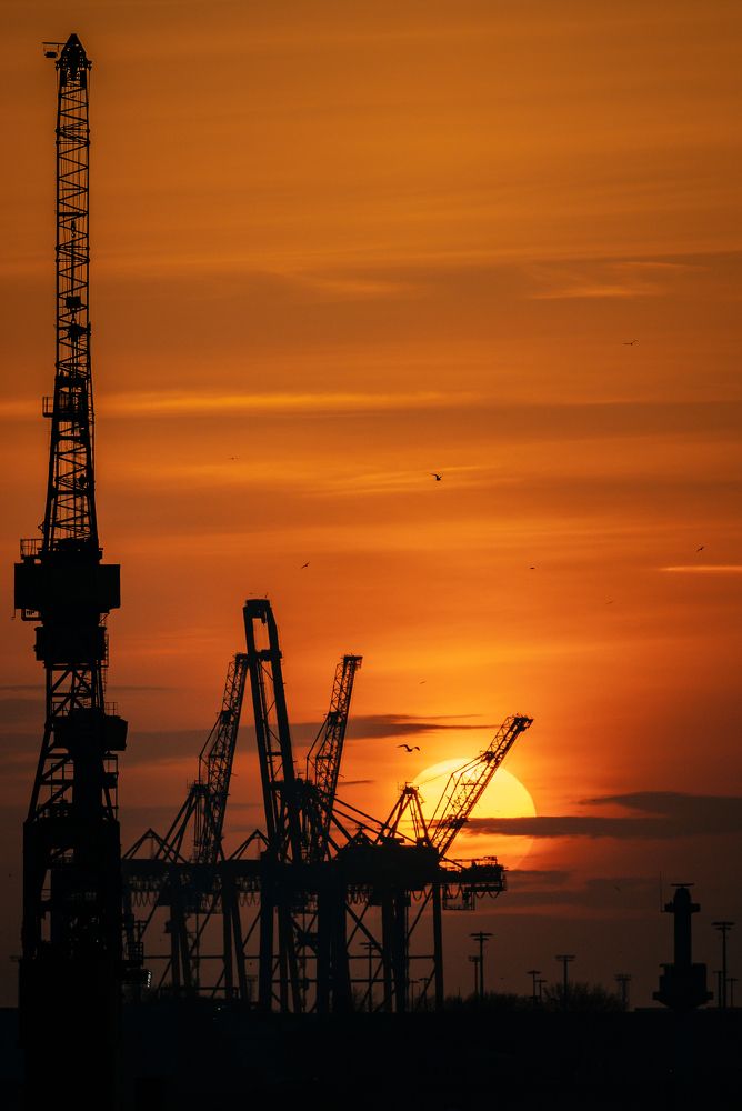 Photograph by Nicholas Art