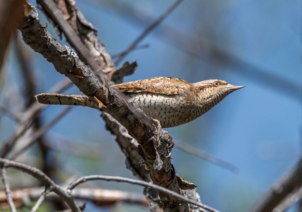 Photograph by Александр Подмарёв