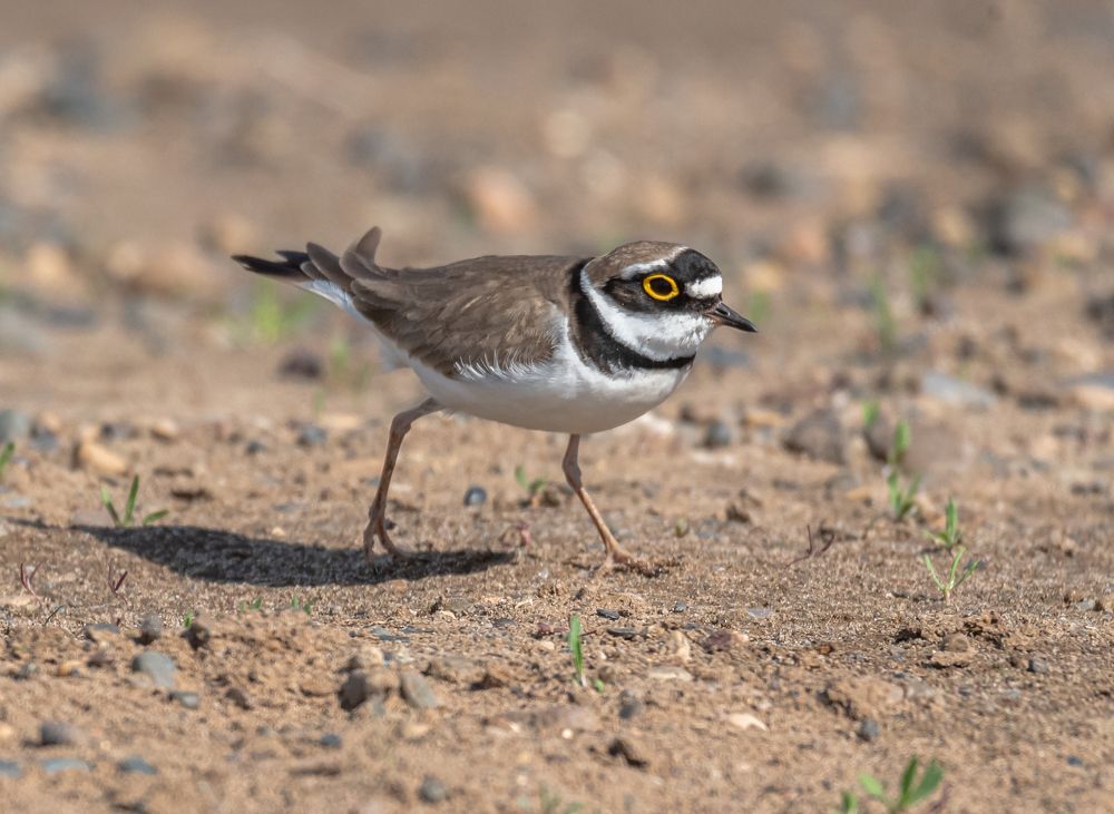 Photograph by Александр Подмарёв
