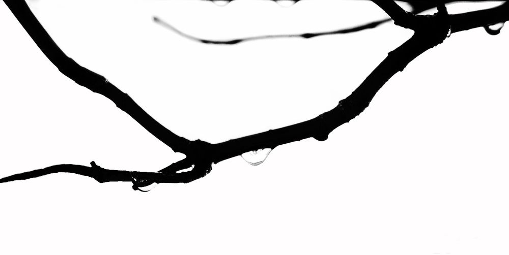 Фотография автора Алексей Карташов