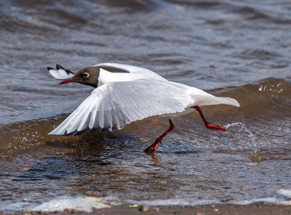 Photograph by Александр Подмарёв