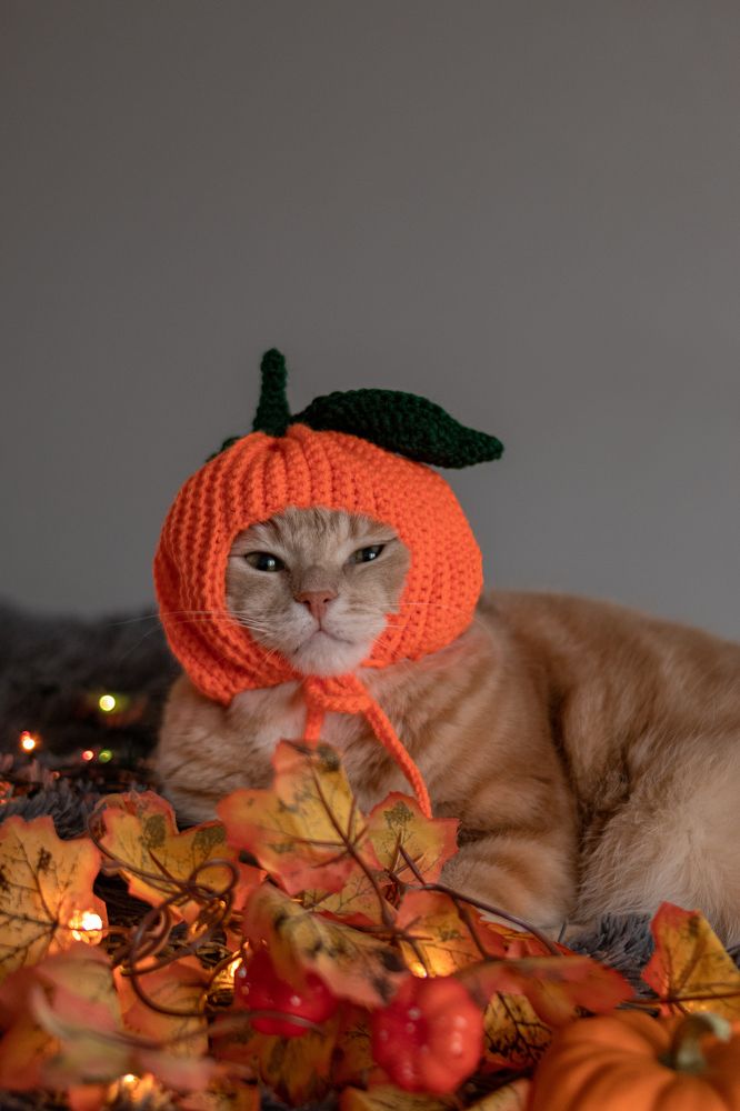 Photograph by Екатерина Алексеева