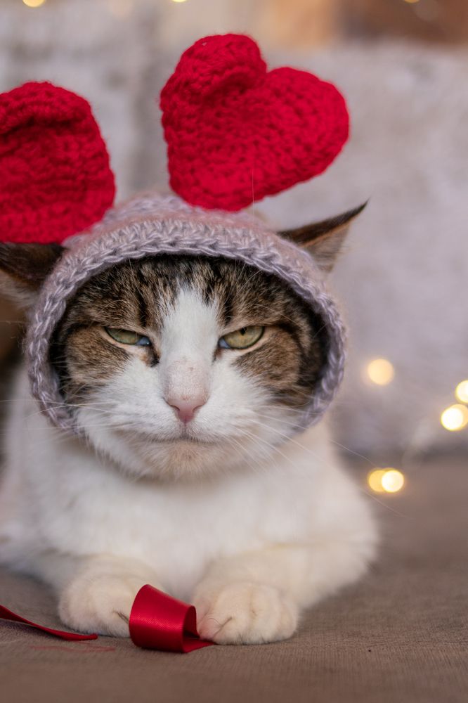 Photograph by Екатерина Алексеева