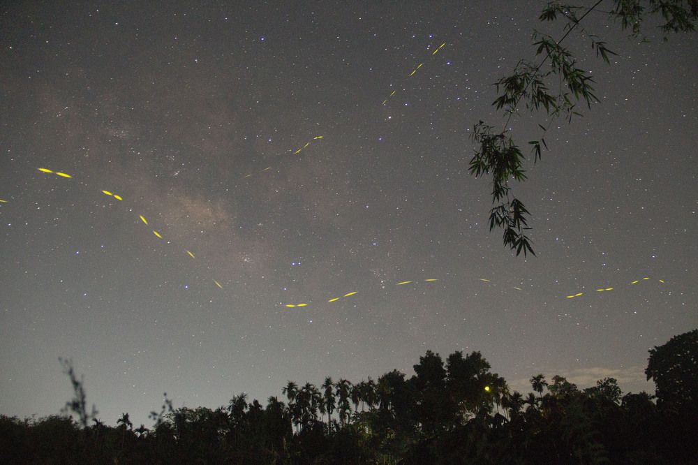 Photograph by MD RASED ROKON