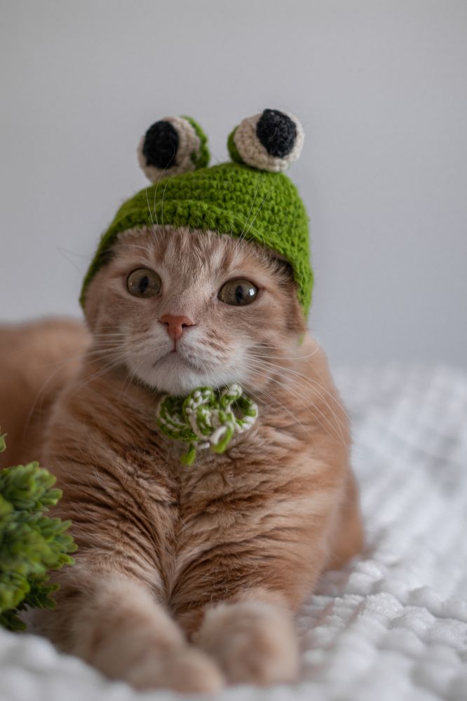 Photograph by Екатерина Алексеева