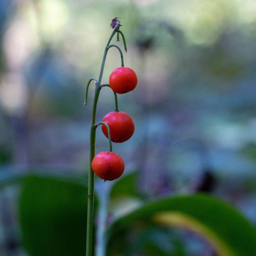 Photograph by Ксения Щукина