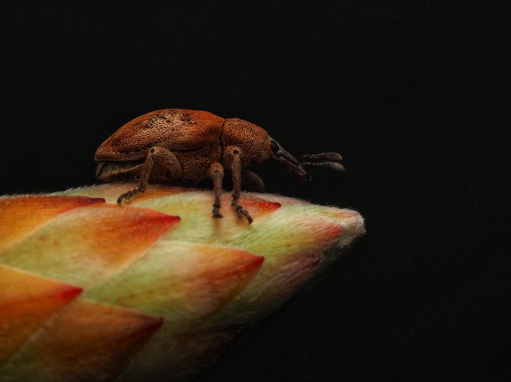 Photograph by Jason Walters