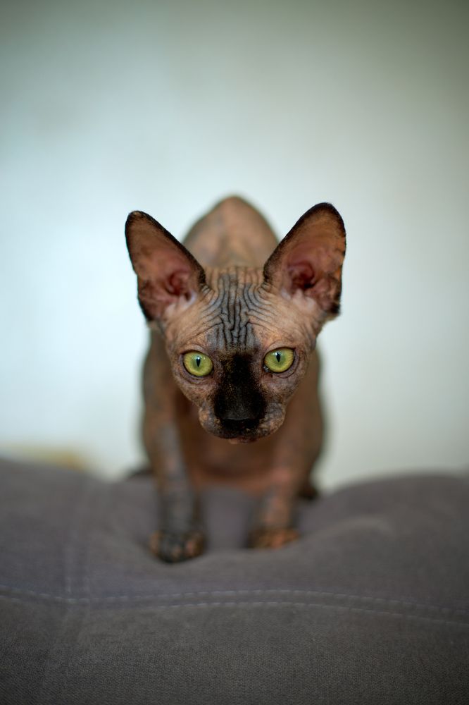 Photograph by Игорь Федянин