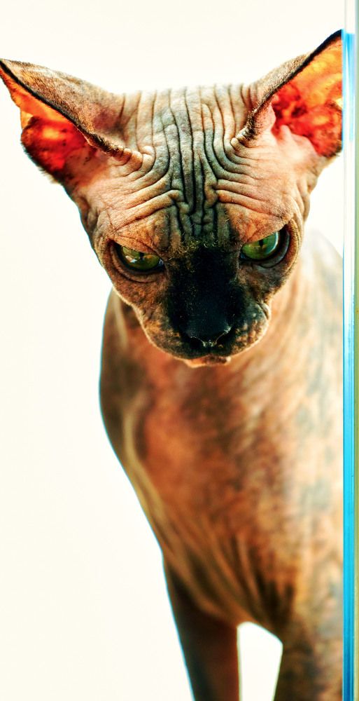 Photograph by Игорь Федянин