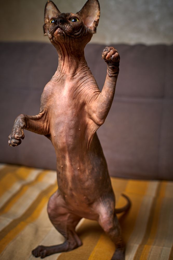 Photograph by Игорь Федянин