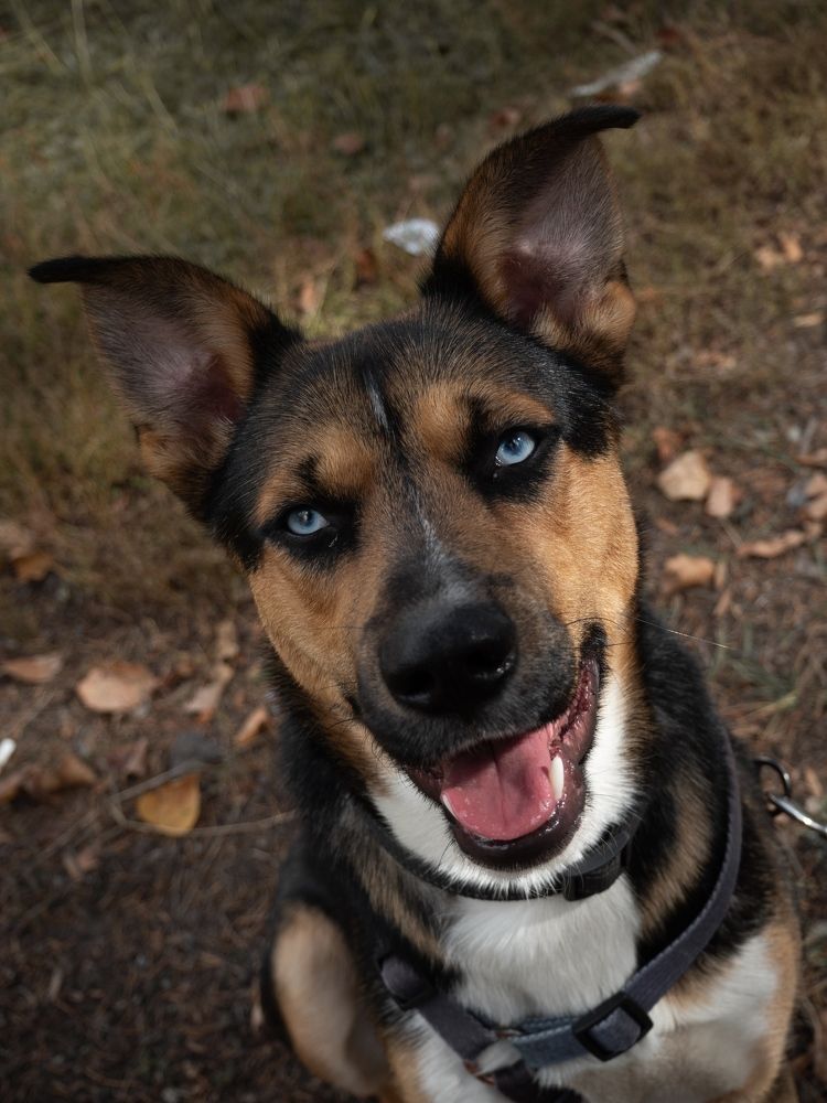 Photograph by Margarita Presidentova