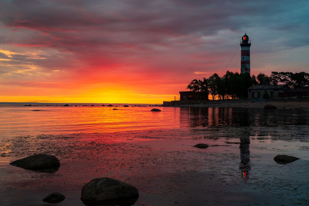 Фотография автора Мика Петров