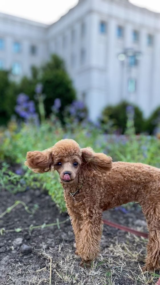 Photograph by Людмила Казак