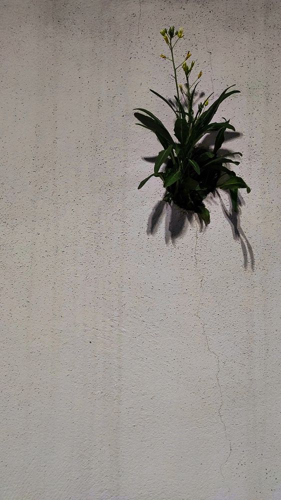 Photograph by Evgenia Korchagova