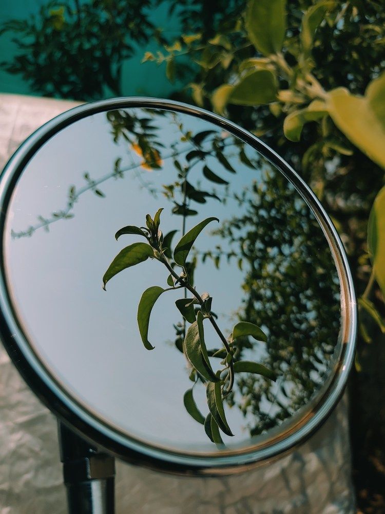 Photograph by Pavan Kumar