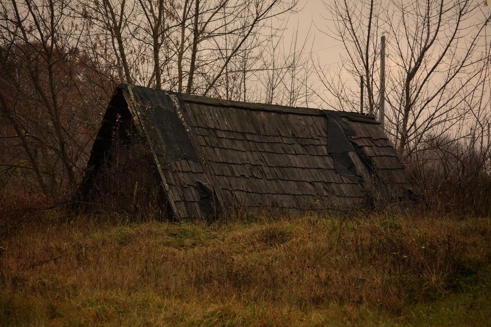 Photograph by Сергей Симаков