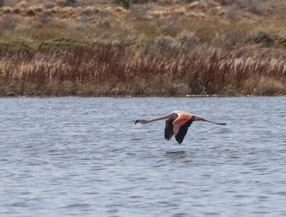 Фотография автора Oskars Smelins